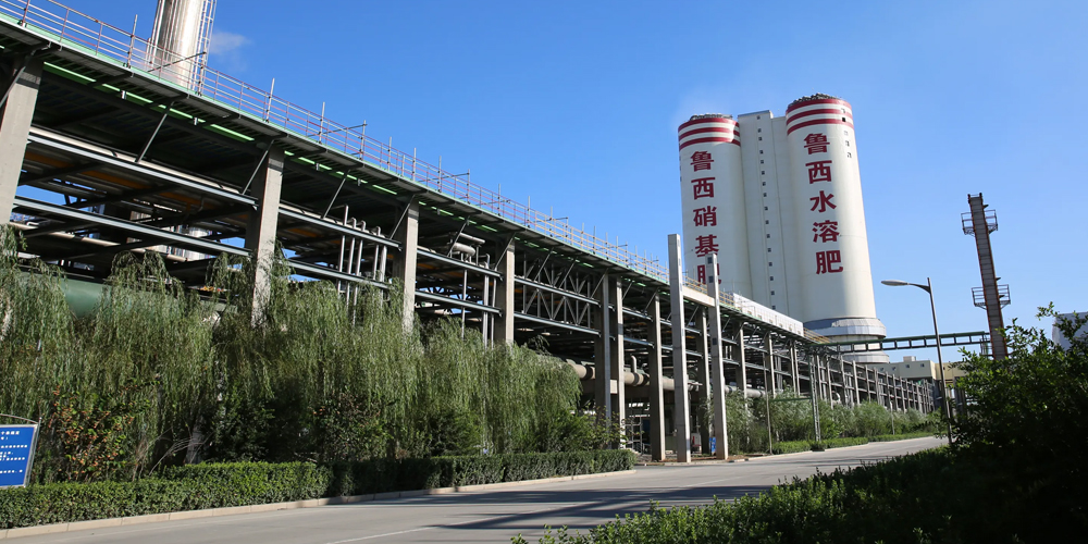 鲁西化工用高服齿辊式碎煤机